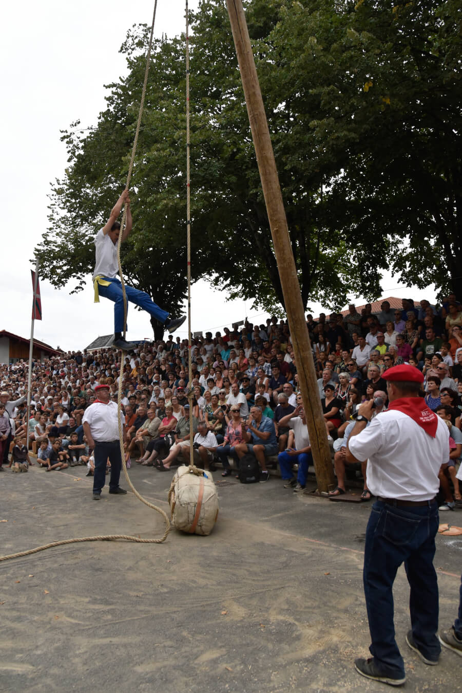 75e Festival de Force Basque : une tradition qui perdure à Saint-Palais