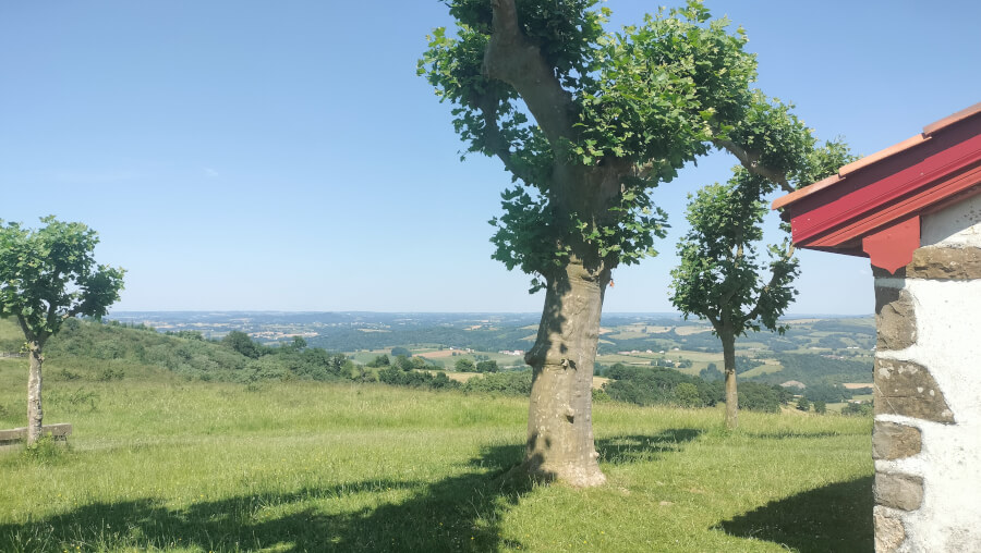 Pastorale des jeunes